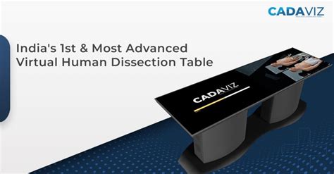 Virtual Dissection 的图像结果