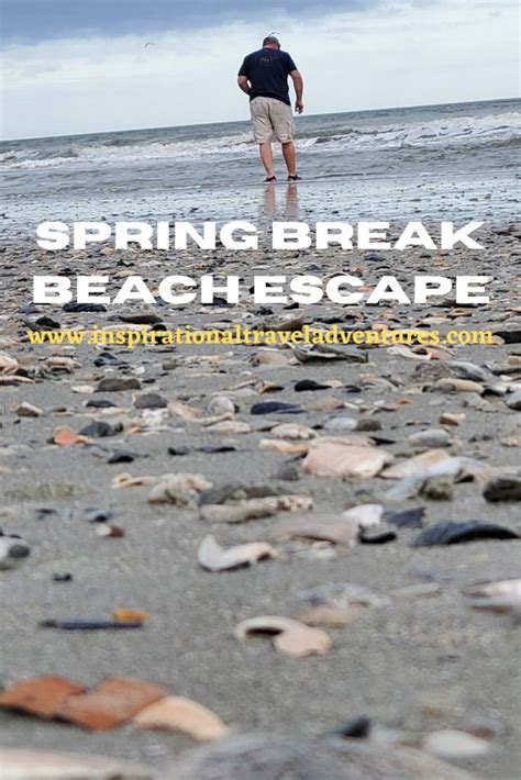Spring Break Beach Escape 的图像结果