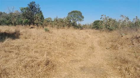 72 Guntha Agricultural/Farm Land for Sale in Murbad, Thane - by Shree ...