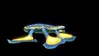 Image result for Alien X Flies