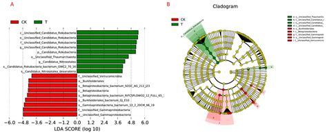 Comparative Metagenomic and Metabolomic Profiling of Rhizospheres of ...
