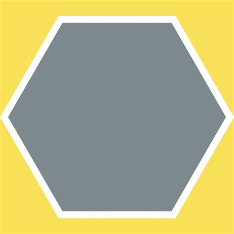 Polygon Shape 的图像结果