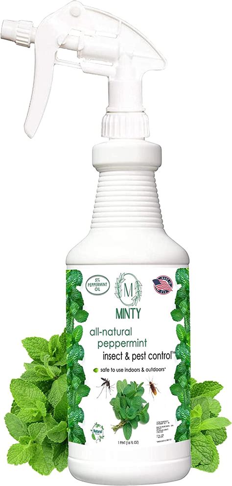 Amazon.com: Minty Insect & Pest Control, Powerful & Natural 5% ...