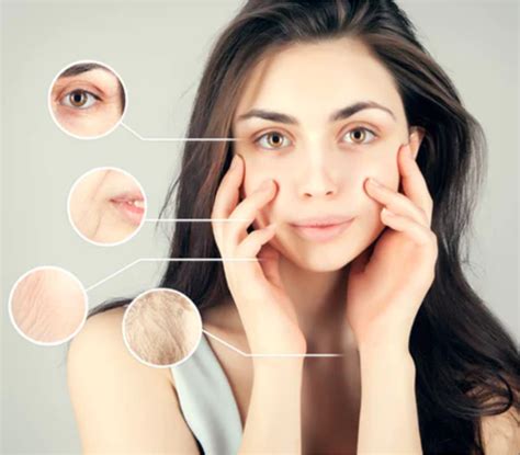 Anti wrinkle Study – Centre For Cruelty free Testing