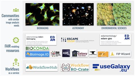 Euro-BioImaging and partners launch the project FAIR Image Analysis ...