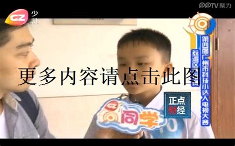 广州电视台少儿频道直播「高清」