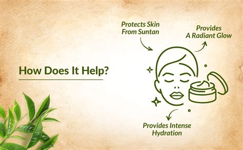 Lotus Botanicals Natural Green Tea HydraDetox Glow Boosting Day Cream ...