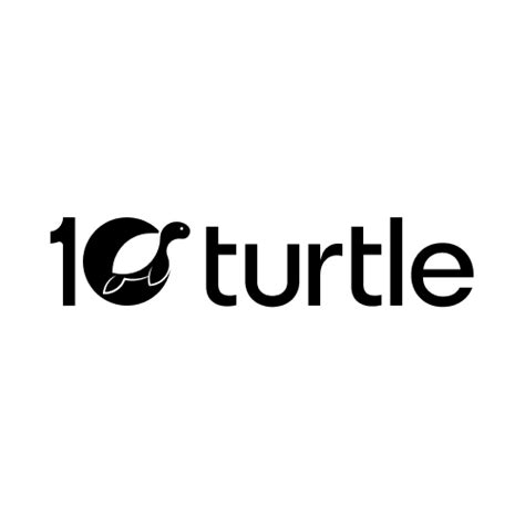10turtle: Ai-Powered Graphic, Web Design, SEO & Software Company
