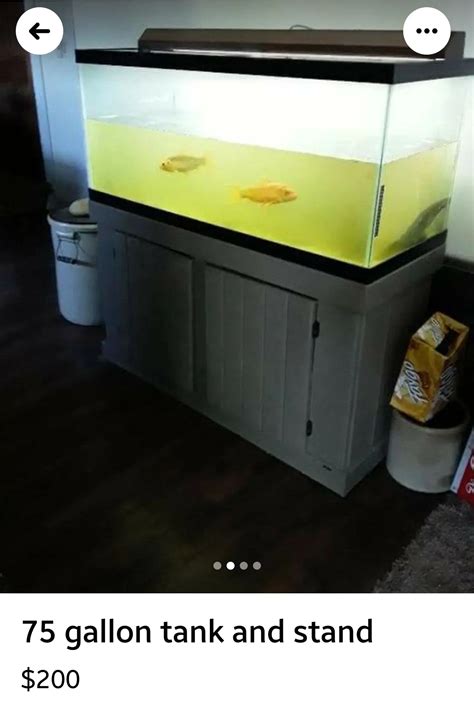 Discover more like Shittyaquariums: A green half filled 75 gal because ...