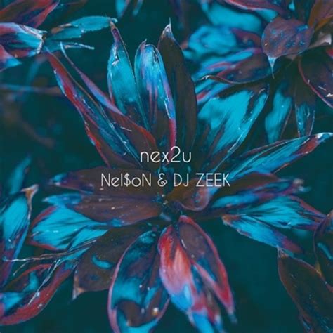 Nel$oN & DJ ZEEK / nex2u (RAP・ALBUM) | 波の上music