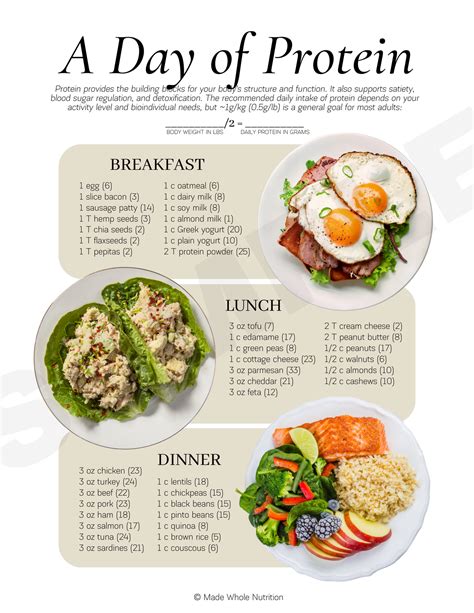 A Day of Protein Handout — Functional Health Research + Resources — Made Whole Nutrition ...