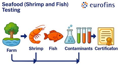 Seafood Testing for Shrimp & Fish | Safety & Compliance - Eurofins ...