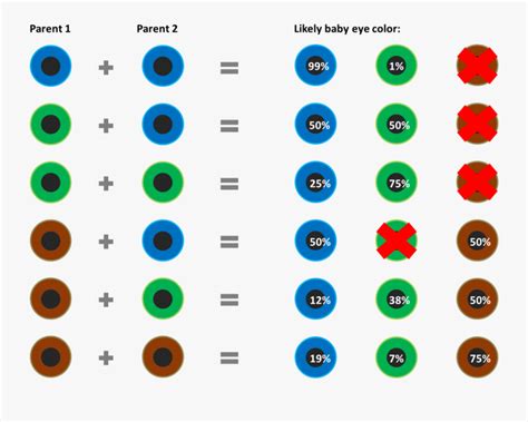 Image result for Probability Comparison Eye Color