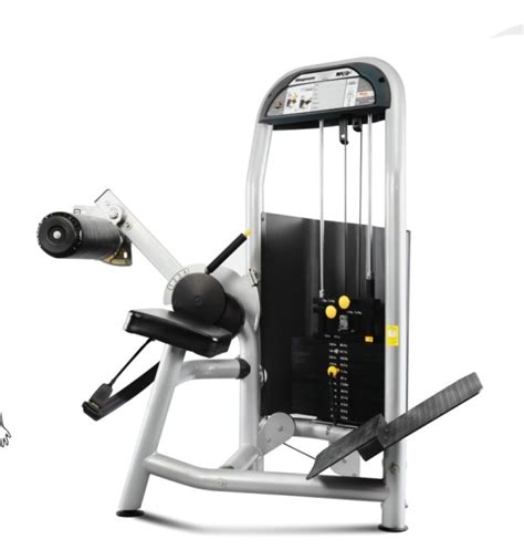 Image result for Back Training Machine