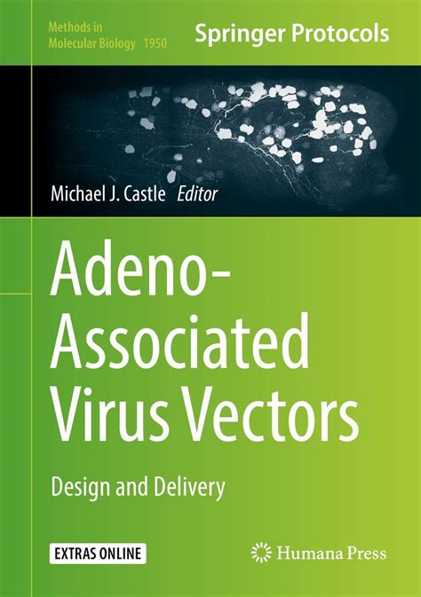 Buy Adeno-Associated Virus Vectors: Design and Delivery: 1950 (Methods ...