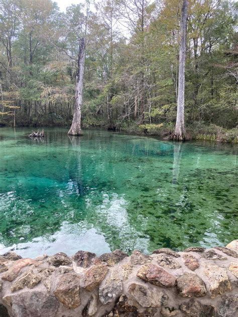 Ponce De Leon Springs Map at Felix Lesperance blog