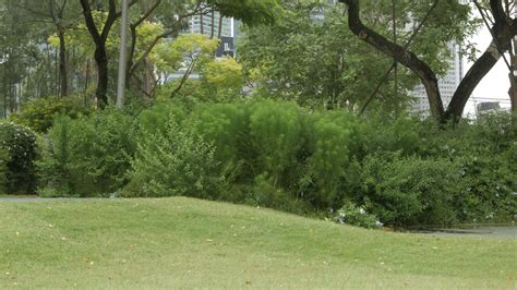 Nature Park 的图像结果