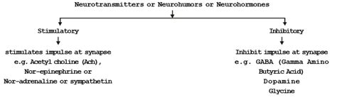 Transmission of Nerve Impulses - Biology Class 11 - NEET PDF Download