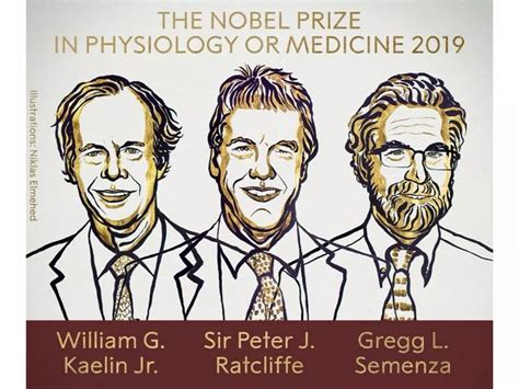 Nobel Prize For Medicine Awarded To 3 Scientists For Showing How Oxygen ...