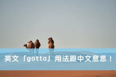 【gotta 用法】搞懂英文「gotta」用法跟中文意思！ | 全民學英文