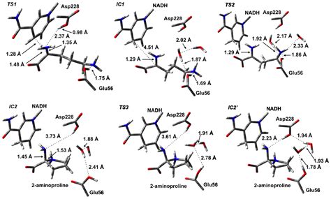 IJMS | Special Issue : Enzyme Optimization and Immobilization