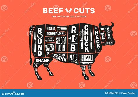 Butcher Cow Diagram