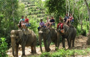 Ecstatic 5 Days 4 Nights Munnar, thekkady and alleppey Hill Stations ...