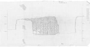 DRAWING TO FIND OUT [05]: SHUBHRA RAJE | thinkMATTER