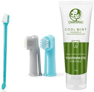 Trixie Dog Dental Hygiene Kit with Toothpaste and Brush for Adult ...