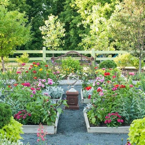 Are Dahlias Perennials?- How to plant and care for your Dahlias