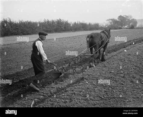 Plough Meaning Collins at Charles Dickman blog