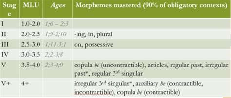 Image result for Language Sampling