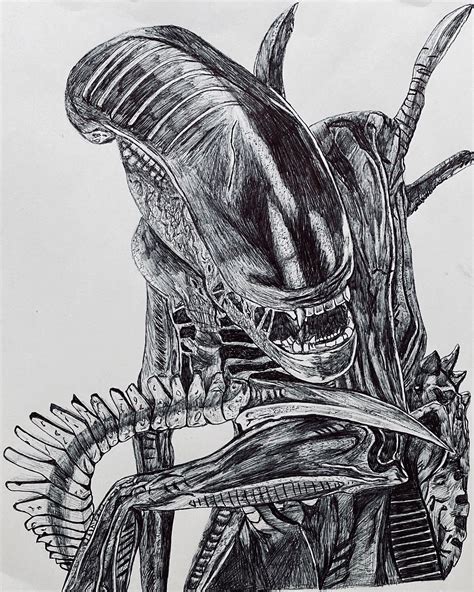 Xenomorph Drawing Tutorial 的图像结果