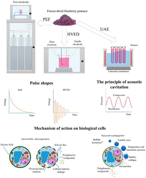 Green Extraction Methods for Extraction of Polyphenolic Compounds from ...