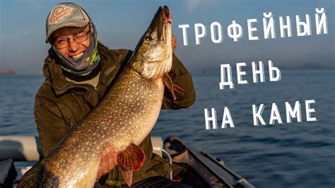 Трофейная рыбалка на Каме - щуки на 8000, судаки на 7000. На что берут ...