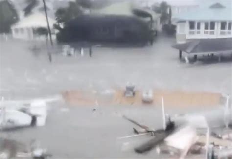 飓风“伊恩”登陆美国：鲨鱼在街上游动，房屋被海水淹没