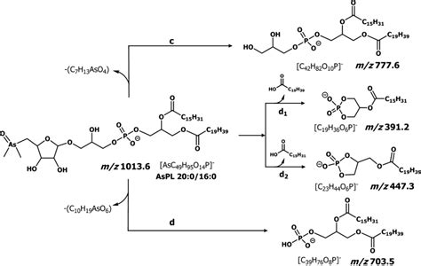 Image result for Fragmentation Pathways