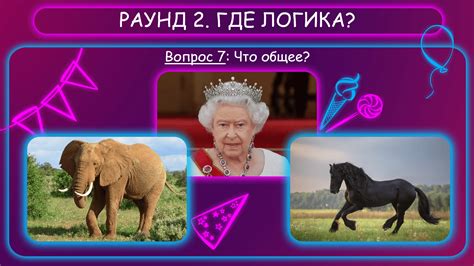 Квиз на День рождения для взрослых «Спешл Day»