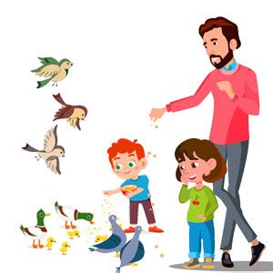 Buy Jimmy Pet Products Feed The Sparrow Wild Bird Food Refill Your ...