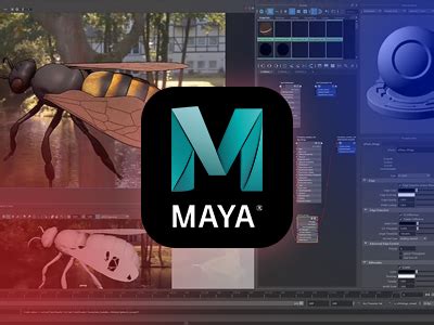 Learn Autodesk Maya Basics for Beginners Online | Backstage Pass Online
