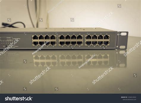 Switch Network Device 的图像结果