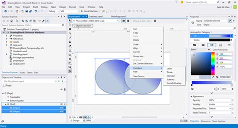 Image result for Visual Studio Blend Polygon