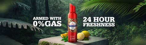 Buy Old Spice Lionpride No Gas 24 hour Long Lasting Freshness Deodorant ...
