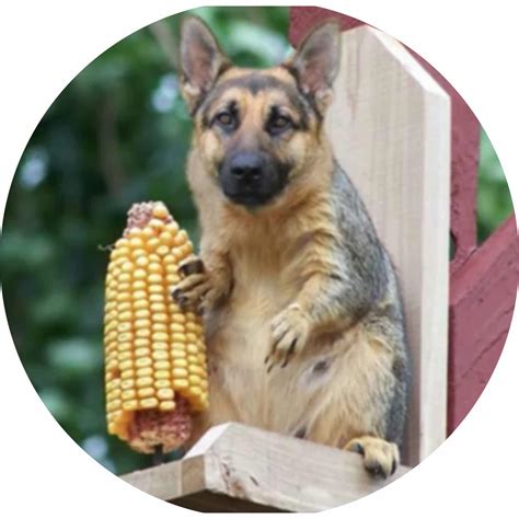 Apache_Boeing_AH_64's Profile | Creality Cloud