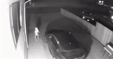 Video: This unknown creature caught on camera has sparked furious ...