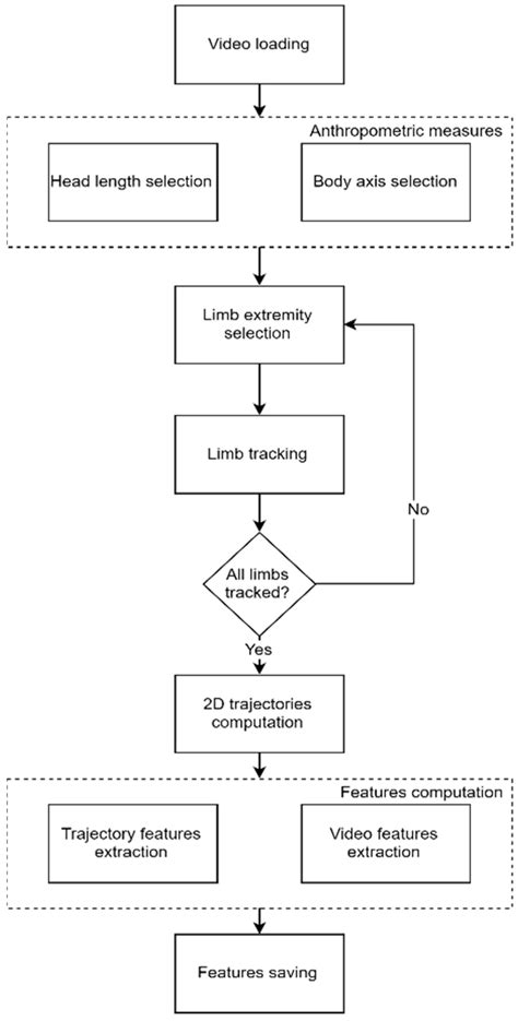 Movidea: A Software Package for Automatic Video Analysis of Movements ...