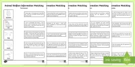 Animal Welfare Information Poster Activity Sheet