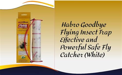 Dutch and Habro Goodbye Flying Insect Trap Effective and Powerful Safe ...