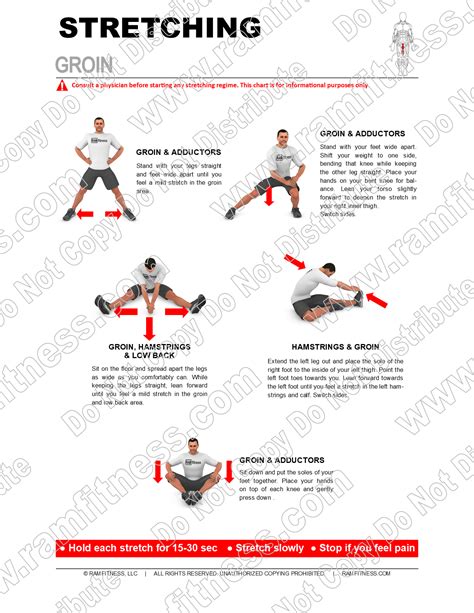 Buy Print License for Groin Area Stretching Guide – Enhance Flexibility ...