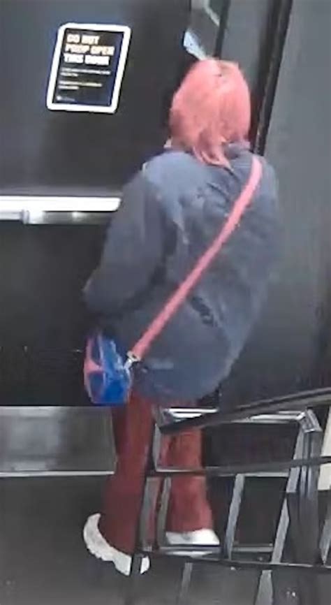 Body found in search for missing Colorado college student - ABC News